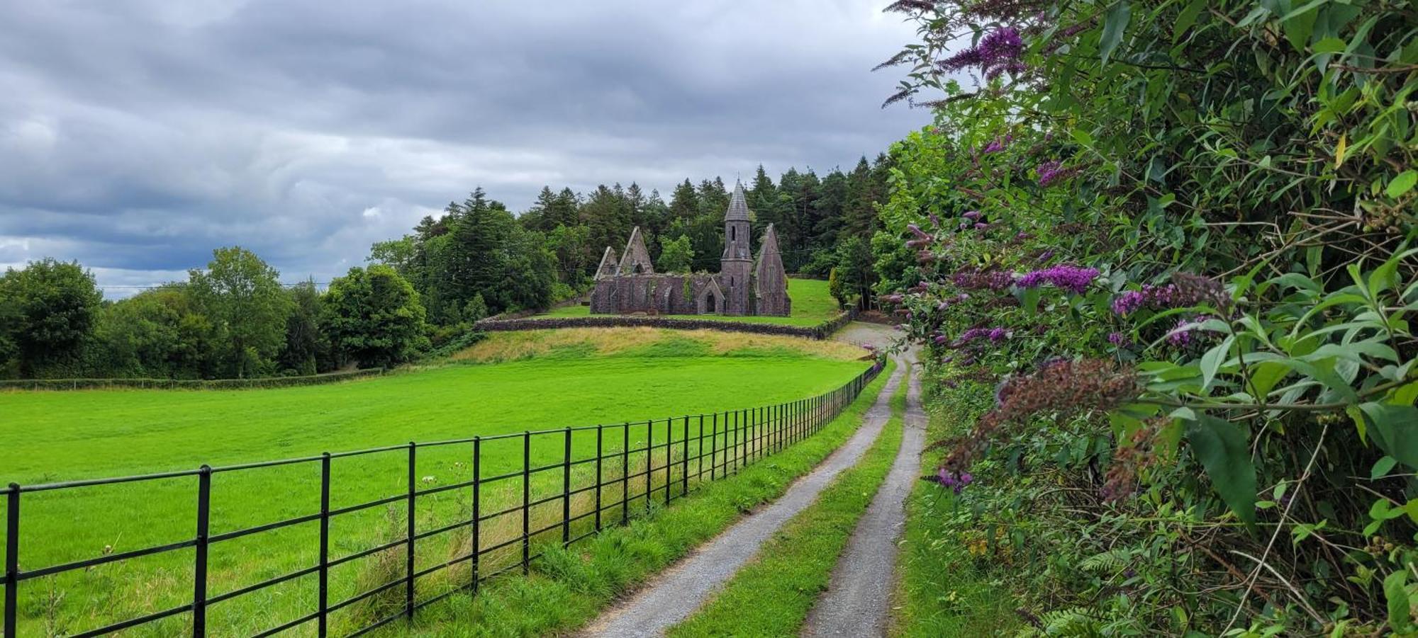 Reed Warbler Cottage Ballinrobe Eksteriør billede